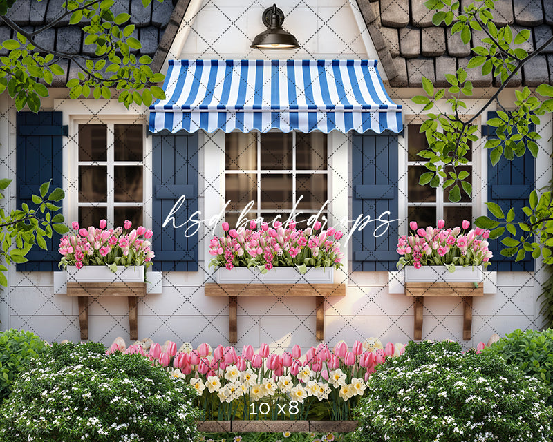 Spring Garden Shed (sweep options) - HSD Photography Backdrops