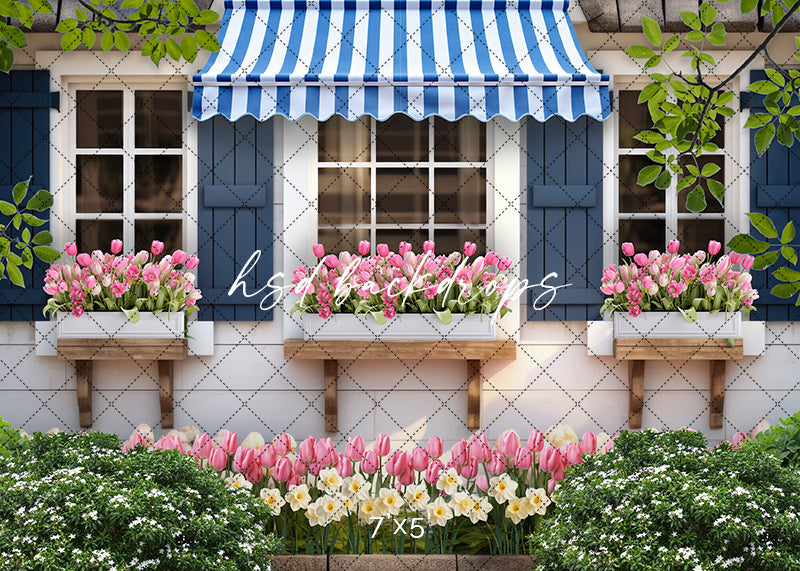 Spring Garden Shed (sweep options) - HSD Photography Backdrops