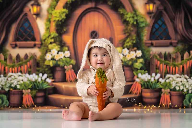Easter Bunny Inn (sweep options) - HSD Photography Backdrops