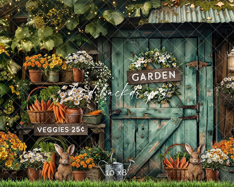 Rustic Garden Shed Door (sweep options) - HSD Photography Backdrops