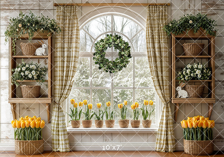 Yellow Tulips Window - HSD Photography Backdrops