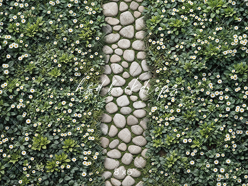 Spring Daisy Pathway Floor Mat - HSD Photography Backdrops