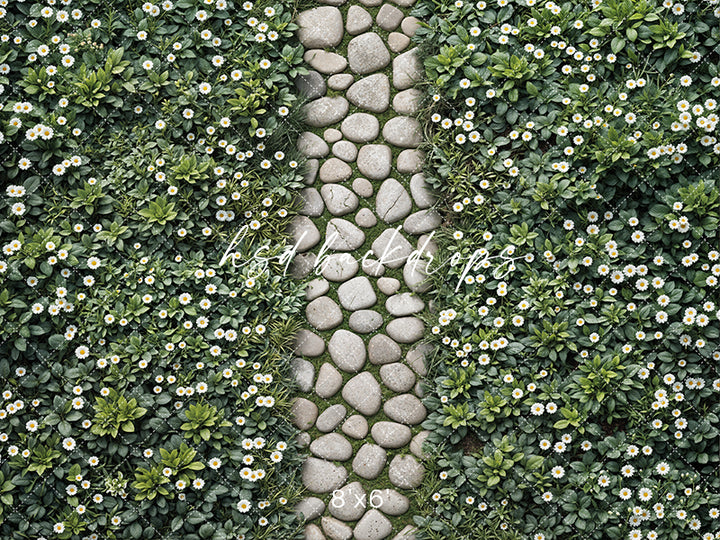 Spring Daisy Pathway Floor Mat - HSD Photography Backdrops
