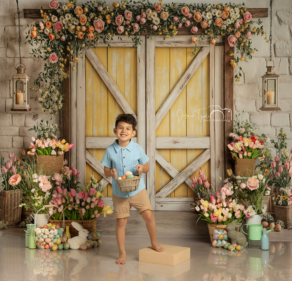 Blissful Spring Barn Doors - HSD Photography Backdrops