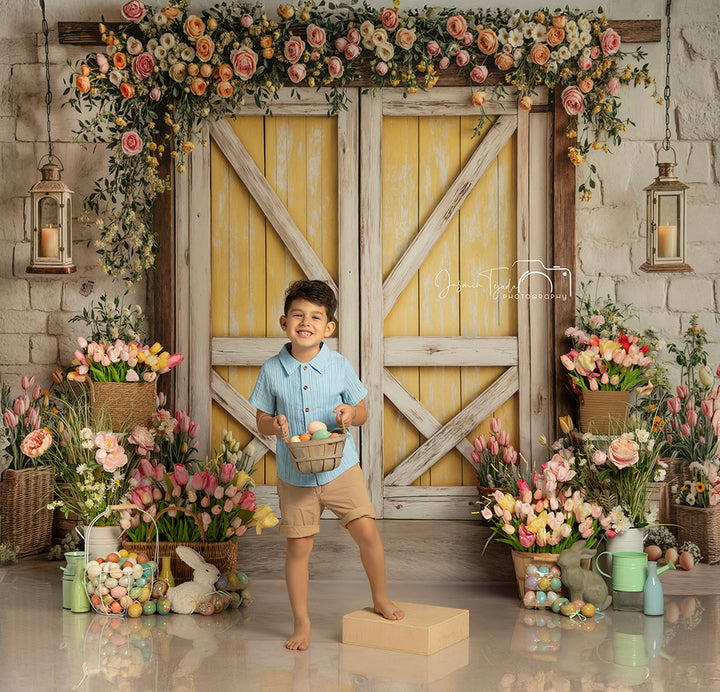 Blissful Spring Barn Doors - HSD Photography Backdrops