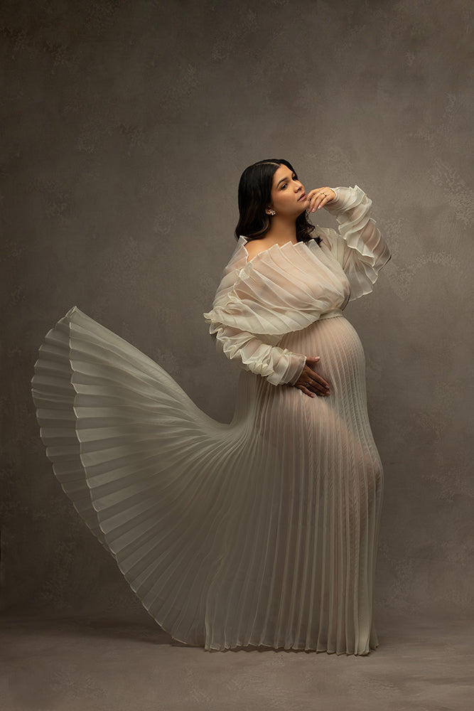 Mourning Dove - HSD Photography Backdrops