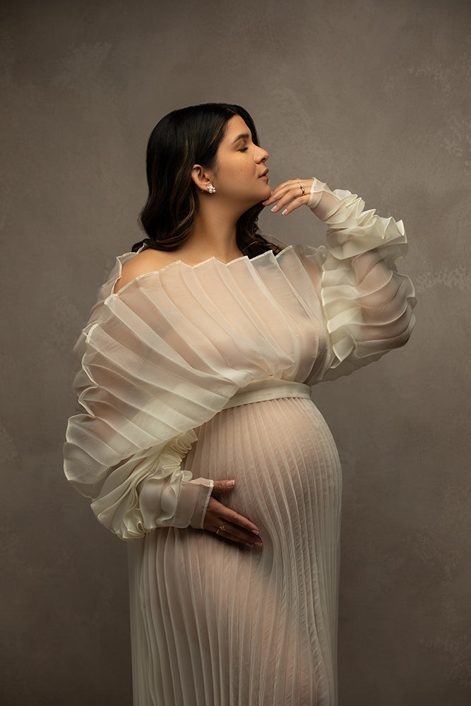 Mourning Dove - HSD Photography Backdrops