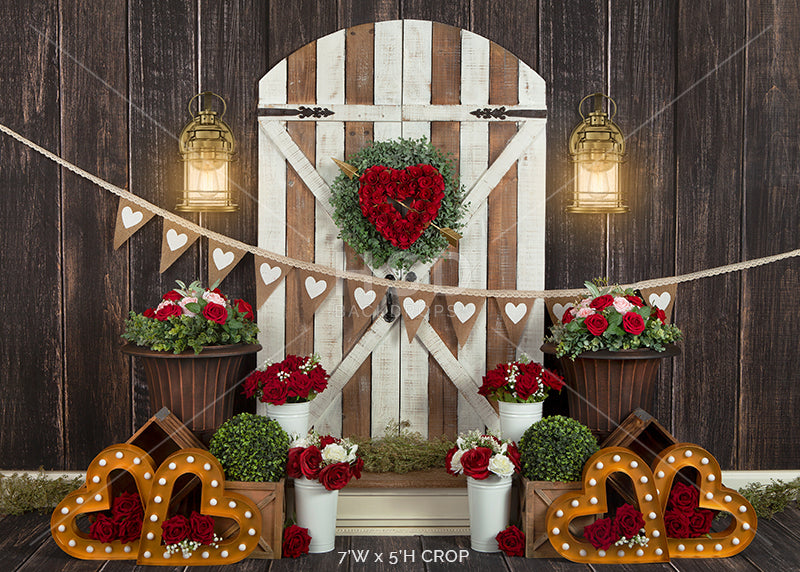Valentine's Day Door (poly) - HSD Photography Backdrops