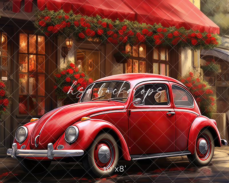 Love Bug - HSD Photography Backdrops