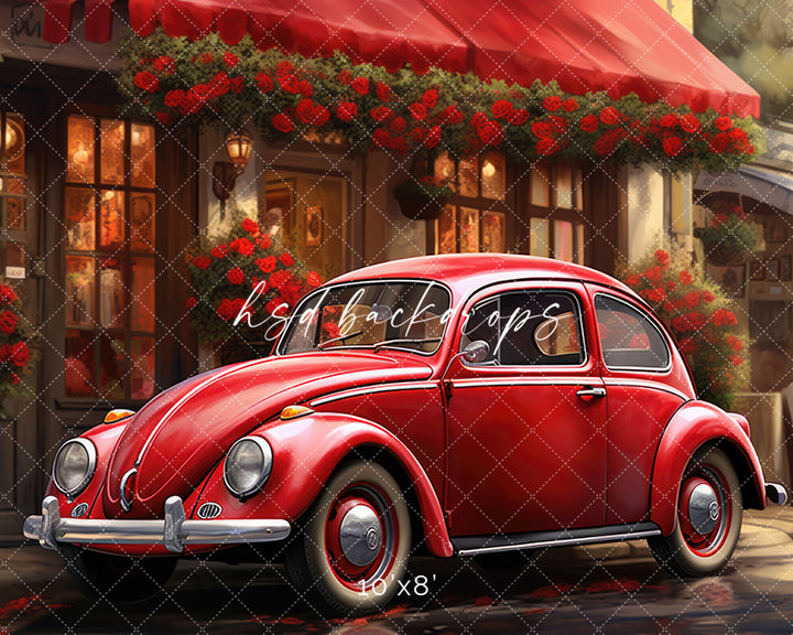 Love Bug - HSD Photography Backdrops