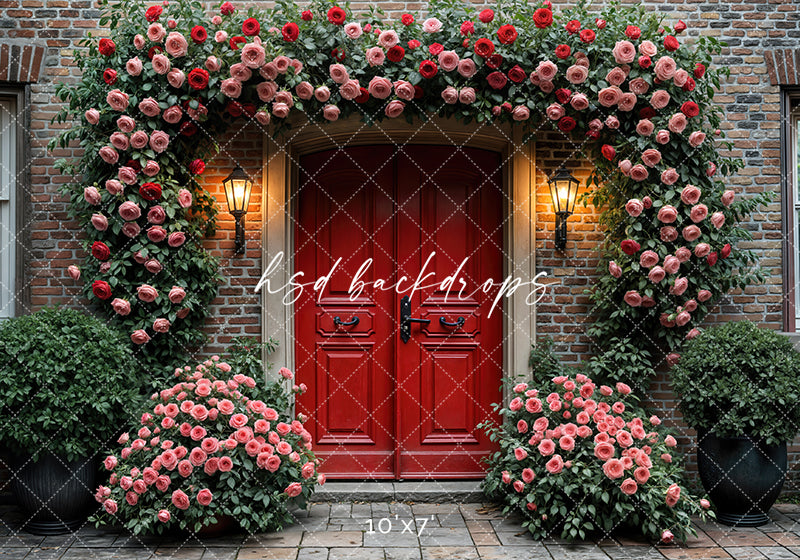 Red Valentine's Day Door  (sweep options) - HSD Photography Backdrops