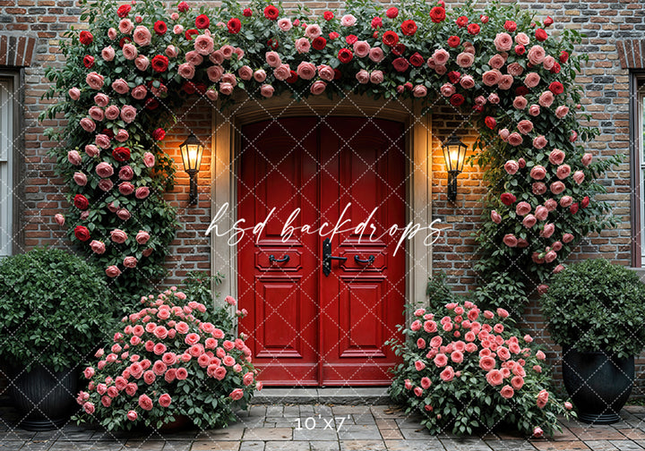 Red Valentine's Day Door  (sweep options) - HSD Photography Backdrops