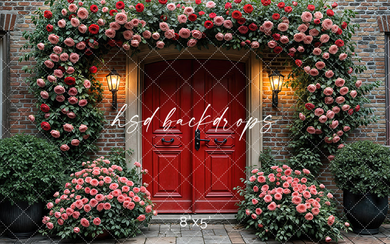 Red Valentine's Day Door  (sweep options) - HSD Photography Backdrops
