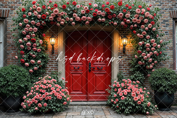 Red Valentine's Day Door  (sweep options) - HSD Photography Backdrops