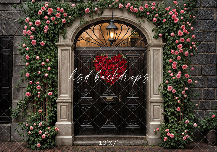 Arched Valentine's Day Door (sweep options) - HSD Photography Backdrops