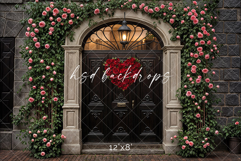 Arched Valentine's Day Door (sweep options) - HSD Photography Backdrops