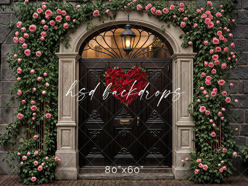 Arched Valentine's Day Door (sweep options) - HSD Photography Backdrops