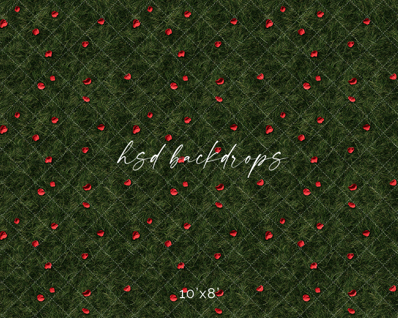 Scattered Rose Petals - HSD Photography Backdrops