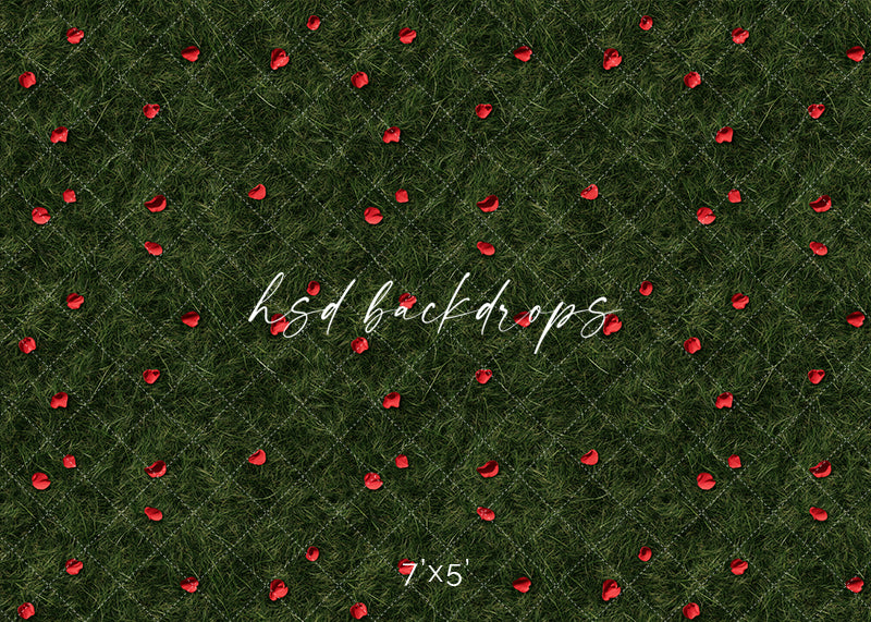 Scattered Rose Petals - HSD Photography Backdrops