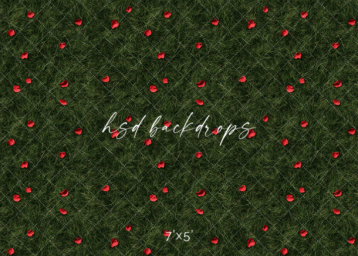 Scattered Rose Petals - HSD Photography Backdrops