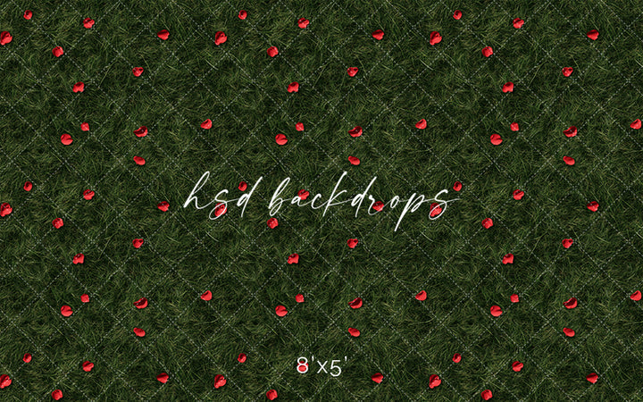 Scattered Rose Petals - HSD Photography Backdrops