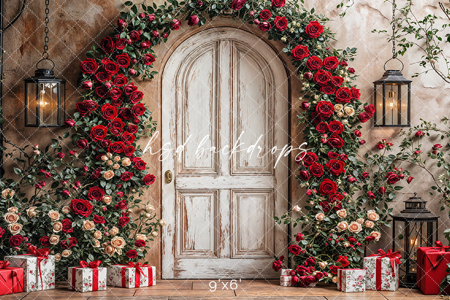 Lots of Love - HSD Photography Backdrops