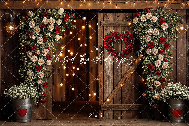 Rustic Valentine's Day Door (sweep options) - HSD Photography Backdrops
