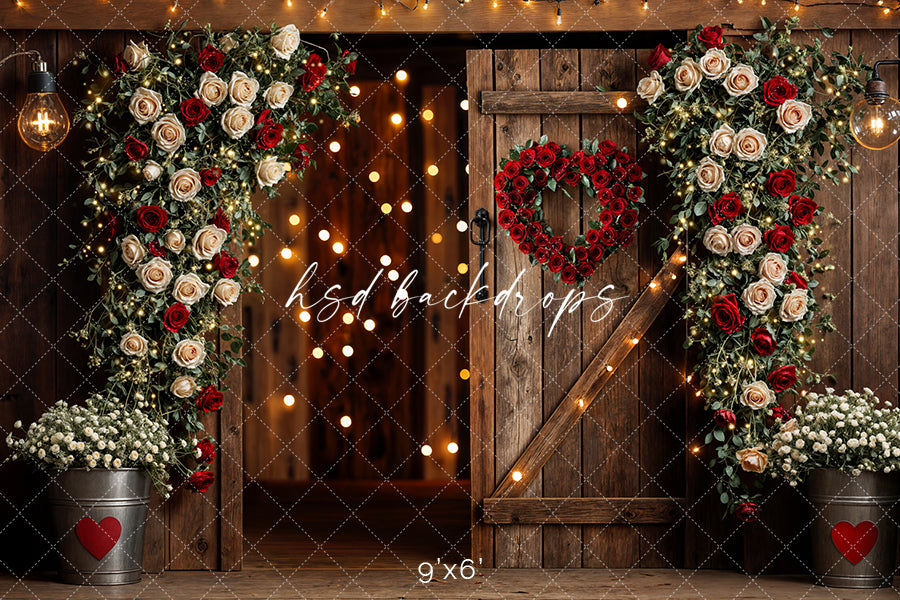 Rustic Valentine's Day Door (sweep options) - HSD Photography Backdrops