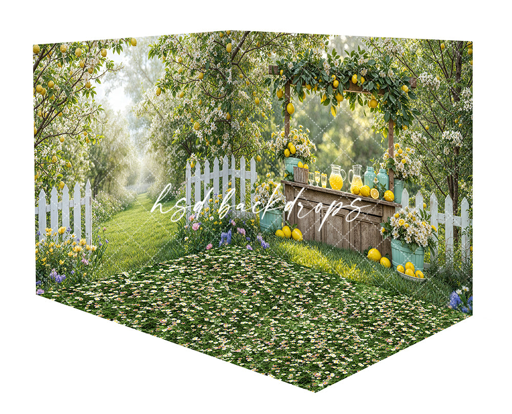 Citrus Sips Lemonade Stand Room - SMR43736 - HSD Photography Backdrops
