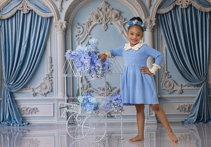 Baroque Blue Wall - HSD Photography Backdrops