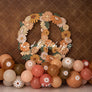 Peace and Daisies - HSD Photography Backdrops