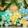 Dinosaur Birthday - HSD Photography Backdrops