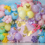 Butterfly Birthday Arch - HSD Photography Backdrops