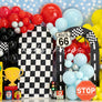 Race Car Birthday - HSD Photography Backdrops