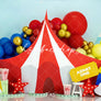 Circus Tent Birthday Backdrop for Cake Smash Photos