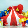 Circus Party - HSD Photography Backdrops