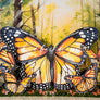 Monarch Butterfly - HSD Photography Backdrops