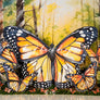 Monarch Butterfly - HSD Photography Backdrops