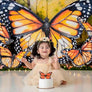 Monarch Butterfly - HSD Photography Backdrops
