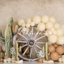 Cowboy Themed Cake Smash Photo backdrop