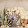Cowboy Cake Smash - HSD Photography Backdrops