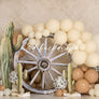 Cowboy Cake Smash - HSD Photography Backdrops