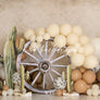 Cowboy Cake Smash - HSD Photography Backdrops