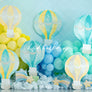 Hot Air Balloon Birthday - HSD Photography Backdrops