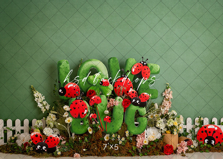 Love Bug Ladybug - HSD Photography Backdrops
