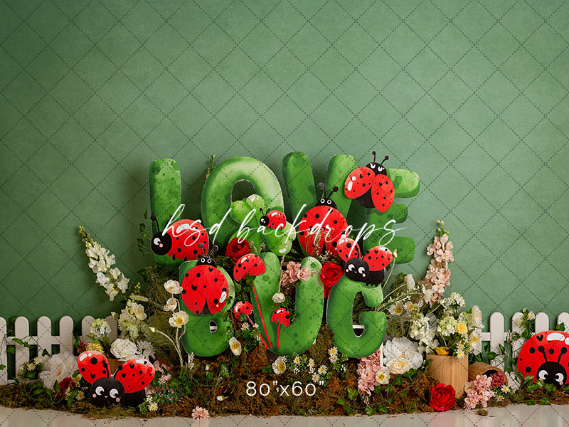 Lady Bug Cake Smash Photography Backdrop for Spring Portraits