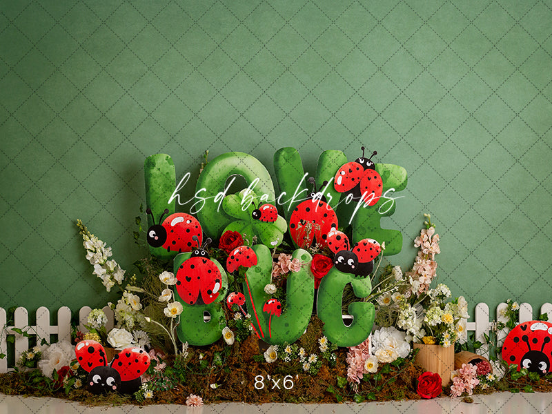 Love Bug Ladybug - HSD Photography Backdrops