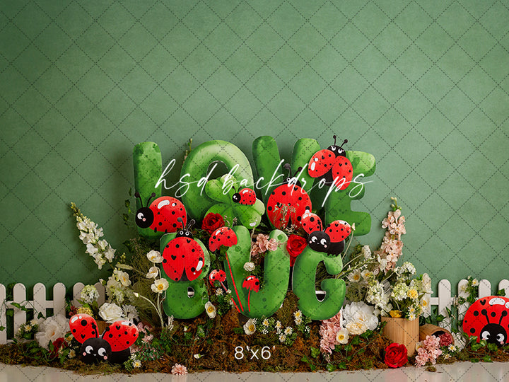 Love Bug Ladybug - HSD Photography Backdrops