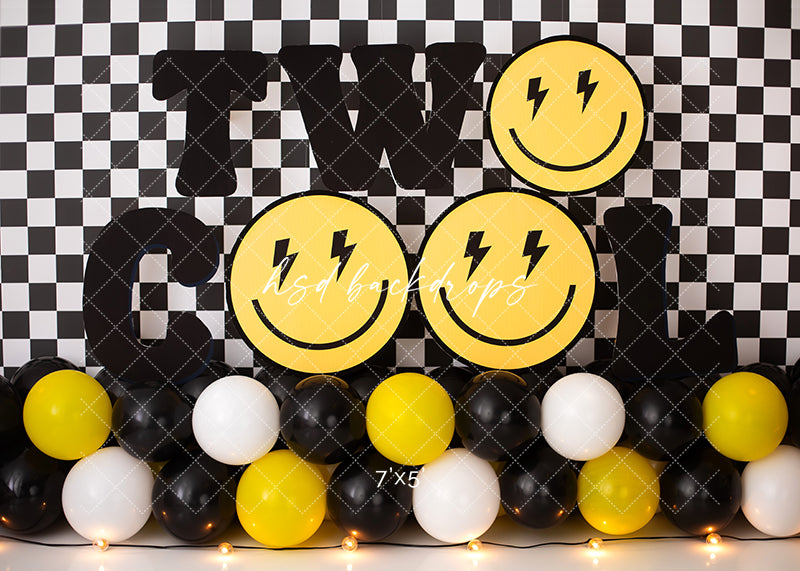 Two Cool - HSD Photography Backdrops