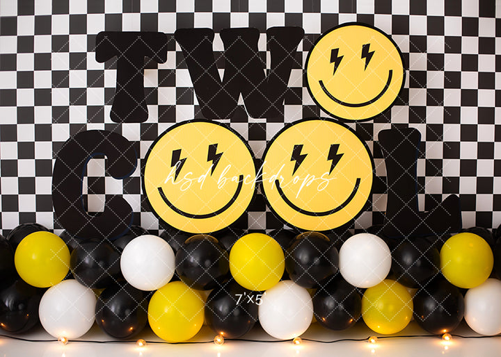 Two Cool - HSD Photography Backdrops